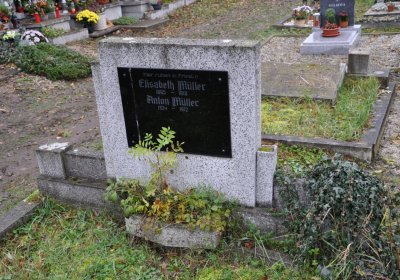 Novosedlice, Omnium, 2020