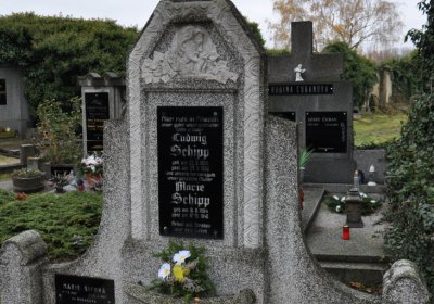 Novosedlice, Omnium, 2020