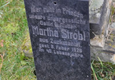 Novosedlice, Omnium, 2020