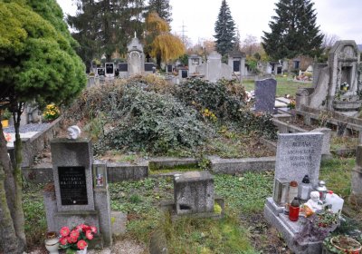 Novosedlice, Omnium, 2020