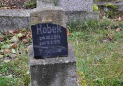 Novosedlice, Omnium, 2020