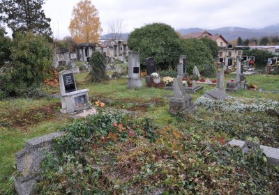 Novosedlice, Omnium, 2020