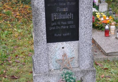 Novosedlice, Omnium, 2020