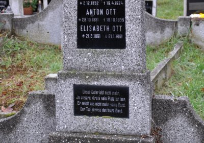 Novosedlice, Omnium, 2020