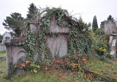 Novosedlice, Omnium, 2020