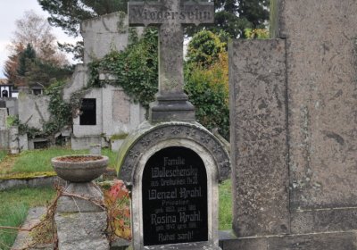 Novosedlice, Omnium, 2020