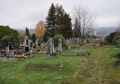 Novosedlice, Omnium, 2020