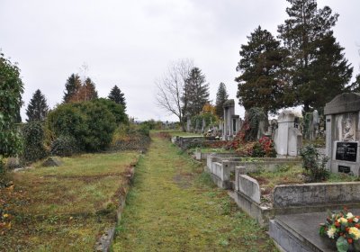 Novosedlice, Omnium, 2020