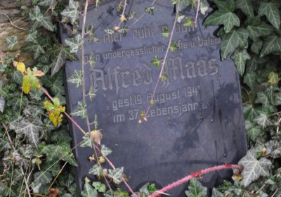 Novosedlice, Omnium, 2020