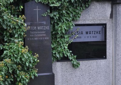 Novosedlice, Omnium, 2020