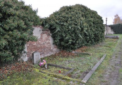 Novosedlice, Omnium, 2020