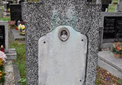 Novosedlice, Omnium, 2020