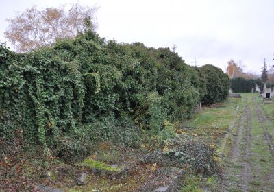 Novosedlice, Omnium, 2020