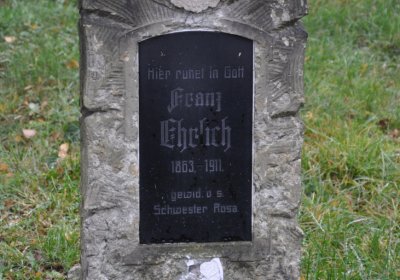 Novosedlice, Omnium, 2020