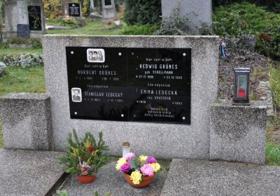 Novosedlice, Omnium, 2020