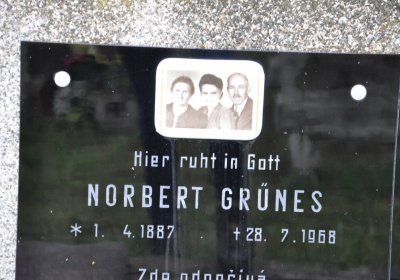 Novosedlice, Omnium, 2020