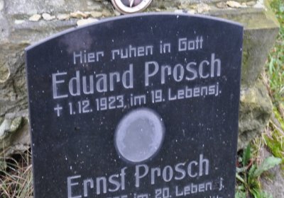 Novosedlice, Omnium, 2020