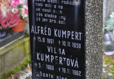 Novosedlice, Omnium, 2020