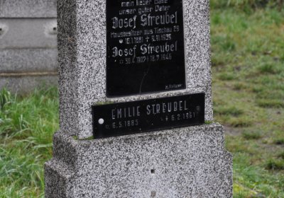 Novosedlice, Omnium, 2020