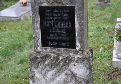 Novosedlice, Omnium, 2020