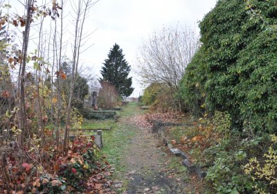 Novosedlice, Omnium, 2020