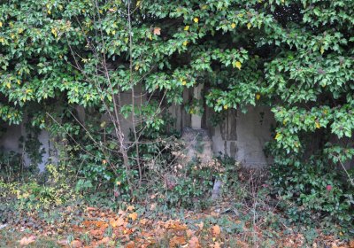 Novosedlice, Omnium, 2020