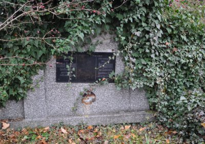 Novosedlice, Omnium, 2020