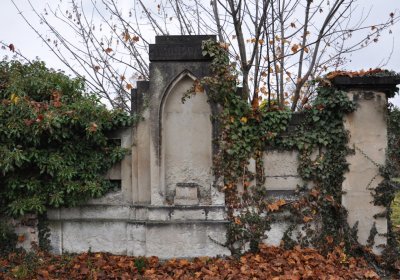 Novosedlice, Omnium, 2020