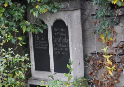 Novosedlice, Omnium, 2020