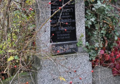 Novosedlice, Omnium, 2020