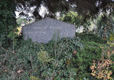 Novosedlice, Omnium, 2020