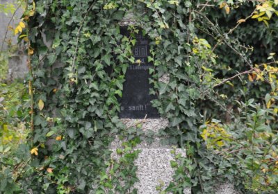 Novosedlice, Omnium, 2020