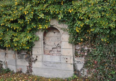 Novosedlice, Omnium, 2020