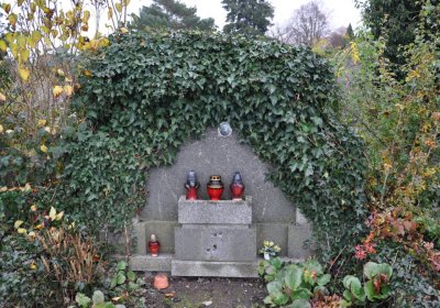 Novosedlice, Omnium, 2020