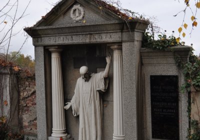 Novosedlice, Omnium, 2020