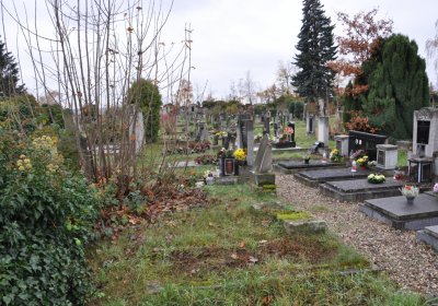 Novosedlice, Omnium, 2020