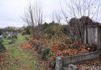 Novosedlice, Omnium, 2020