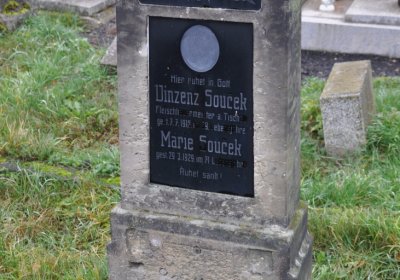 Novosedlice, Omnium, 2020