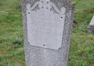 Novosedlice, Omnium, 2020