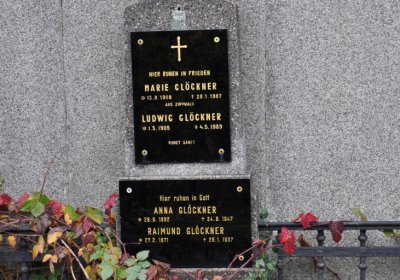 Novosedlice, Omnium, 2020