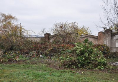 Novosedlice, Omnium, 2020