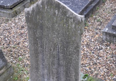 Novosedlice, Omnium, 2020