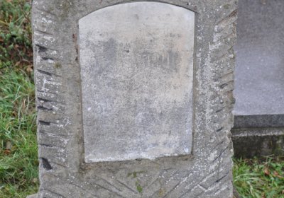 Novosedlice, Omnium, 2020