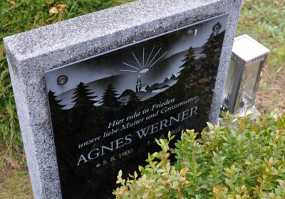 Novosedlice, Omnium, 2020