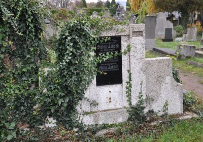 Novosedlice, Omnium, 2020