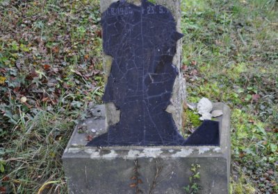 Novosedlice, Omnium, 2020