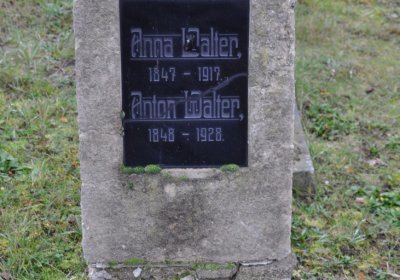 Novosedlice, Omnium, 2020