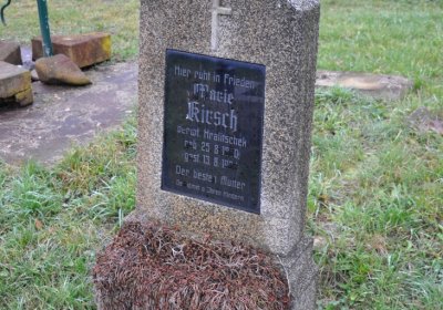 Novosedlice, Omnium, 2020