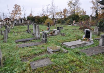 Novosedlice, Omnium, 2020