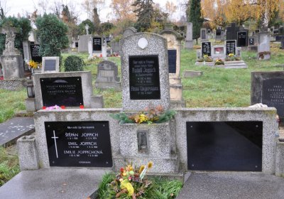 Novosedlice, Omnium, 2020